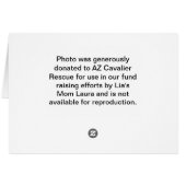 Flying Lia Tri Cavalier King Charles Cards (Back Horizontal)