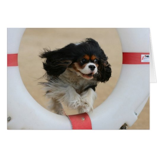 Flying Lia Tri Cavalier King Charles Cards (Front Horizontal)