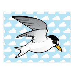 Flying Little Tern Postcard