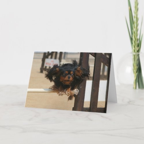 Flying Maia black  Tan Cavalier King Charles Card