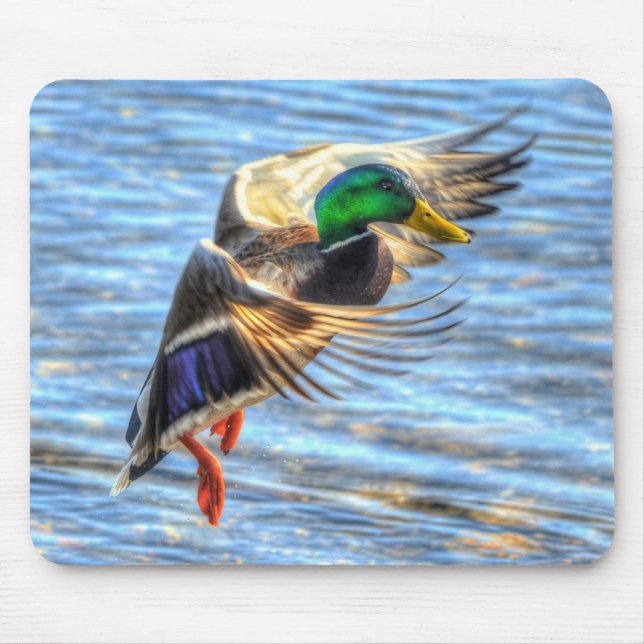 Flying Mallard Duck Birdlover Wildlife Photo Mouse Pad (Front)