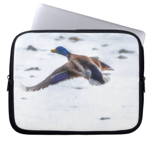 Flying Mallard Duck Drake 15 Wildlife Photo Laptop Sleeve