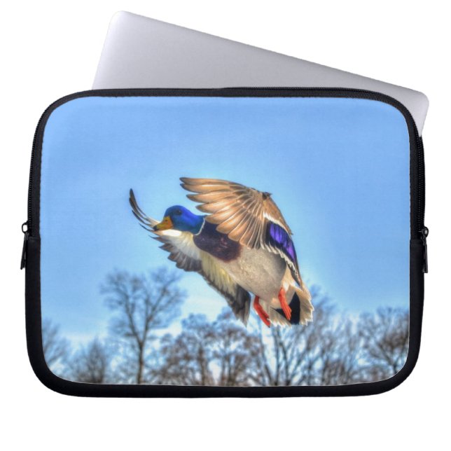 Flying Mallard Duck Drake Wildlife Photo Laptop Sleeve (Front)