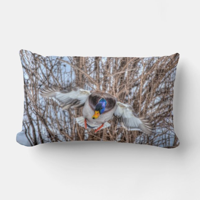 Flying Mallard Duck Drake Wildlife Photo Lumbar Pillow (Front)