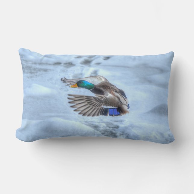 Flying Mallard Duck Drake Wildlife Photo Lumbar Pillow (Front)