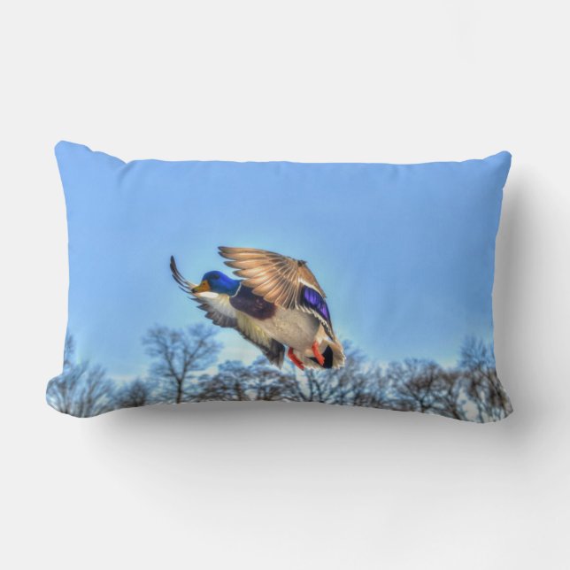Flying Mallard Duck Drake Wildlife Photo Lumbar Pillow (Front)