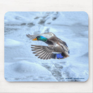 Flying Mallard Duck Drake Wildlife Photo Mouse Pad