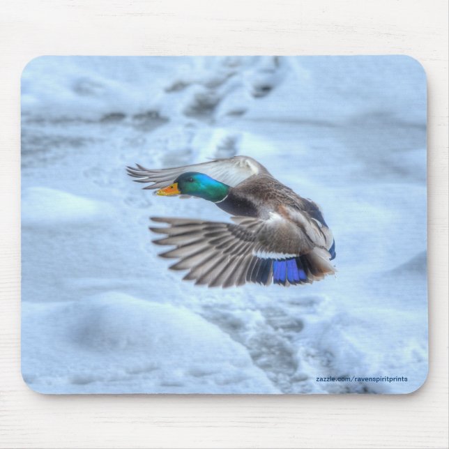 Flying Mallard Duck Drake Wildlife Photo Mouse Pad (Front)