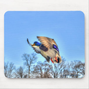 Flying Mallard Duck Drake Wildlife Photo Mouse Pad