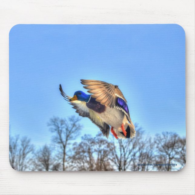 Flying Mallard Duck Drake Wildlife Photo Mouse Pad (Front)