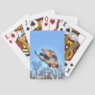 Flying Mallard Duck Drake Wildlife Photo Poker Cards