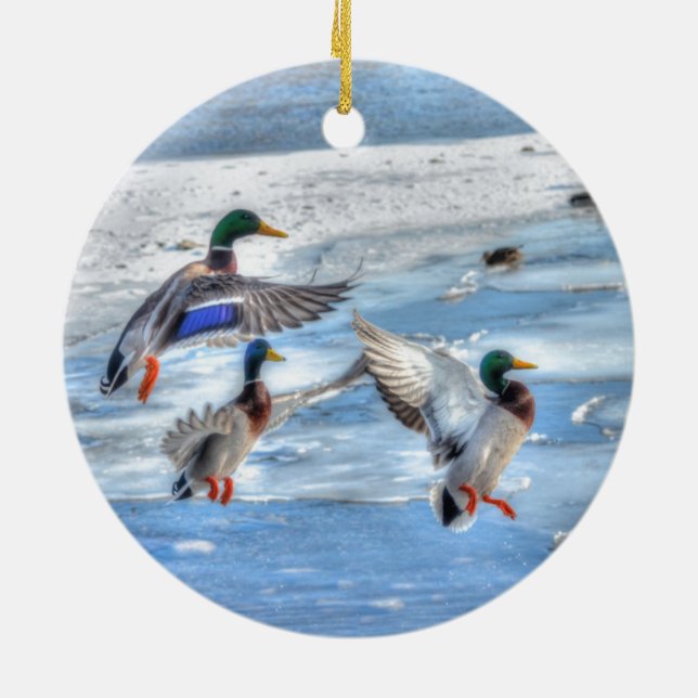 Flying Mallard Ducks Wildlife Gift Ceramic Ornament (Back)