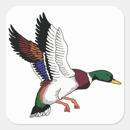 Flying Mallard Square Sticker