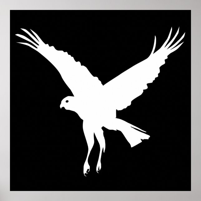 Flying marsh harrier poster (Front)