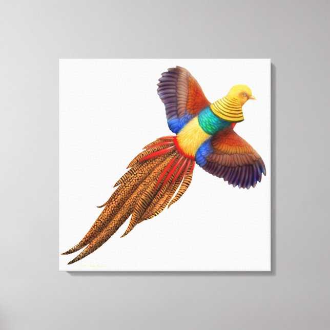 Flying Oriental Golden Pheasant Wrapped Canvas Print (Front)