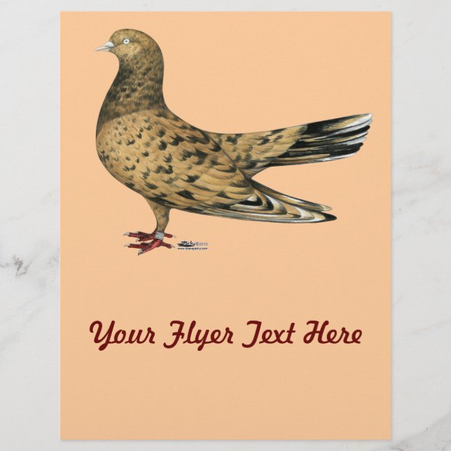 Flying Oriental Roller Pigeon Almond Flyer (Front)