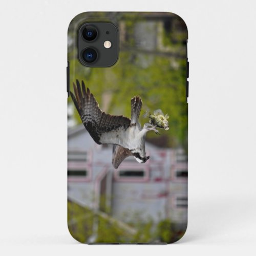 Flying Osprey  Bass Suburban Wildlife Photo Scene iPhone 11 Case