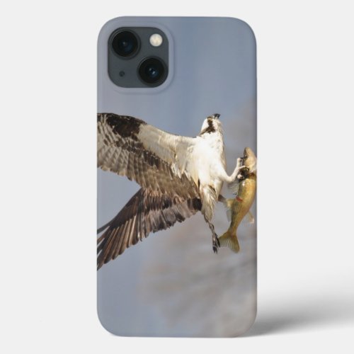 Flying Osprey  Fish 5 Wildlife Photography iPhone 13 Case