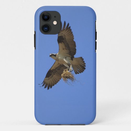 Flying Osprey Fish Hawk iPhone Case