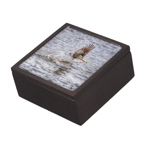 Flying Osprey  Fish HDR Wildlife Photo Gift Gift Box