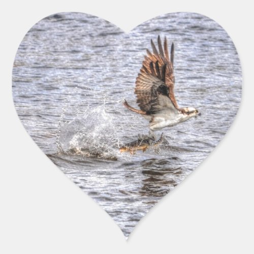 Flying Osprey  Fish HDR Wildlife Photo Gift Heart Sticker