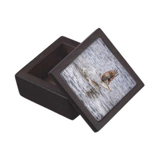 Flying Osprey  Fish HDR Wildlife Photo Gift Jewelry Box