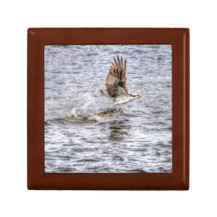 Flying Osprey & Fish HDR Wildlife Photo Gift Jewelry Box