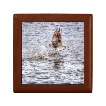 Flying Osprey & Fish Hdr Wildlife Photo Gift Jewelry Box by RavenSpiritPrints at Zazzle