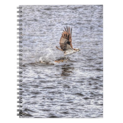 Flying Osprey  Fish HDR Wildlife Photo Gift Notebook