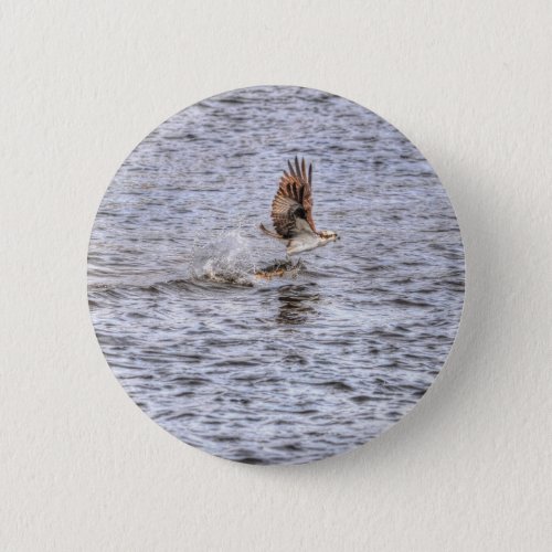 Flying Osprey  Fish HDR Wildlife Photo Gift Pinback Button