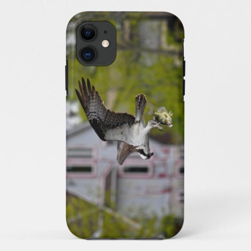 Flying Osprey  Fish Suburban Wildlife Photo Scene iPhone 11 Case