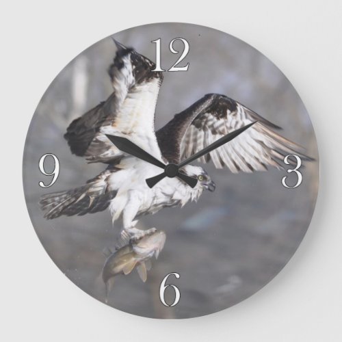 Flying Osprey  Fish Wildlife Photo Scene 2 Large Clock