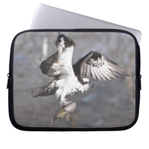 Flying Osprey  Fish Wildlife Photo Scene Laptop Sleeve