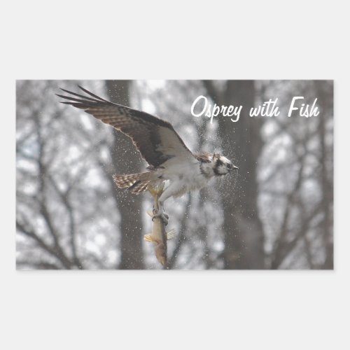 Flying Osprey  Fish Wildlife Photo Scene Rectangular Sticker