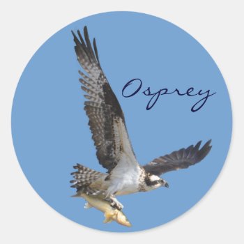 Flying Osprey & Fish Wildlife Photography Classic Round Sticker by RavenSpiritPrints at Zazzle