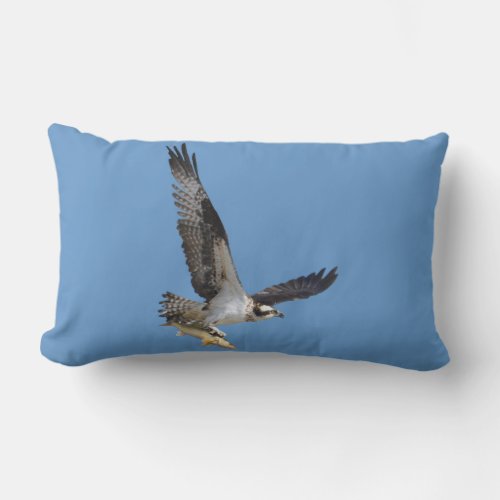 Flying Osprey  Fish Wildlife Photography Lumbar Pillow