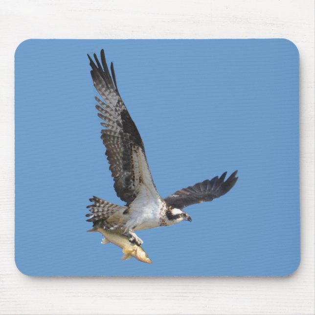 Flying Osprey & Fish Wildlife Photography Mouse Pad (Front)