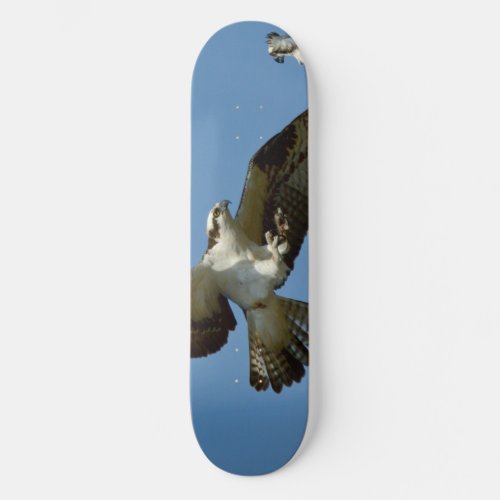 Flying Osprey hawks Skate Board