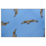 Flying osprey with a target in sight fabric