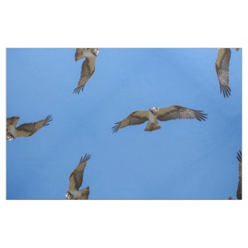 Flying Osprey With A Target In Sight Fabric by JukkaHeilimo at Zazzle