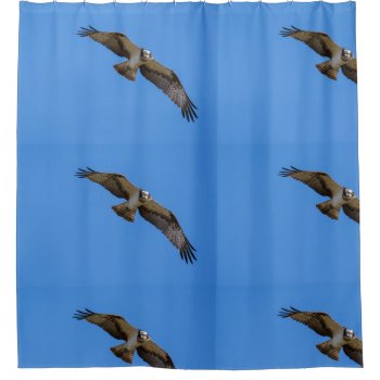 Flying Osprey With A Target In Sight Shower Curtain by JukkaHeilimo at Zazzle
