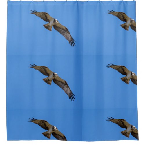 Flying osprey with a target in sight shower curtain