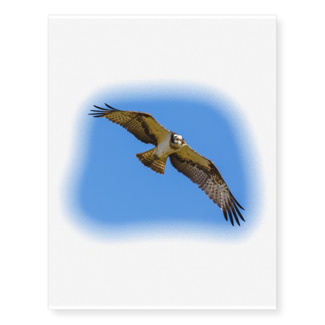 Flying osprey with a target in sight temporary tattoos (Front)