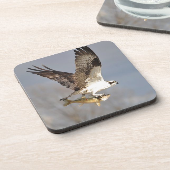 Flying Osprey with Walleye Fish HDR Photo Beverage Coaster (Left Side)