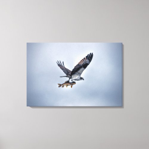 Flying Osprey with Walleye River Fish Canvas Print