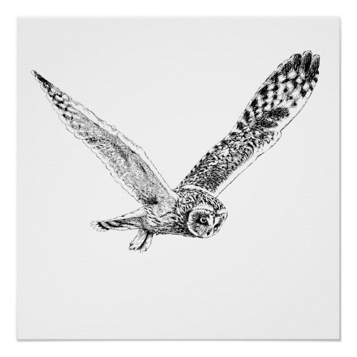 Flying Owl Illustration Poster Print | Zazzle