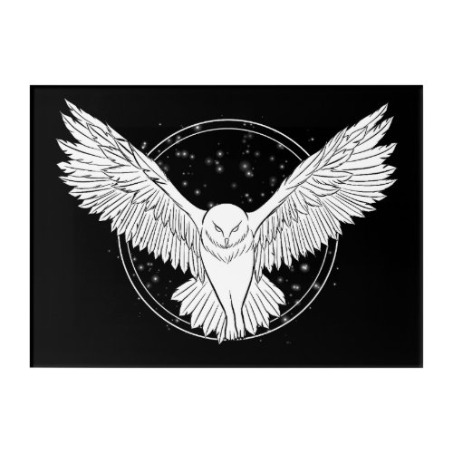 Flying owl on starry sky acrylic print