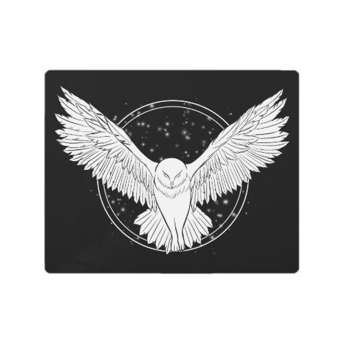 Flying owl on starry sky metal print