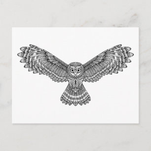 Flying Owl Zendoodle Postcard