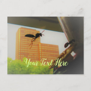 Flying Paper Wasp and Black Carpenter Ant Postcard